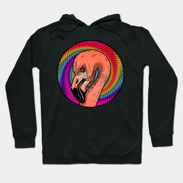 Anteater Flamingo Hoodie by GOATSgear